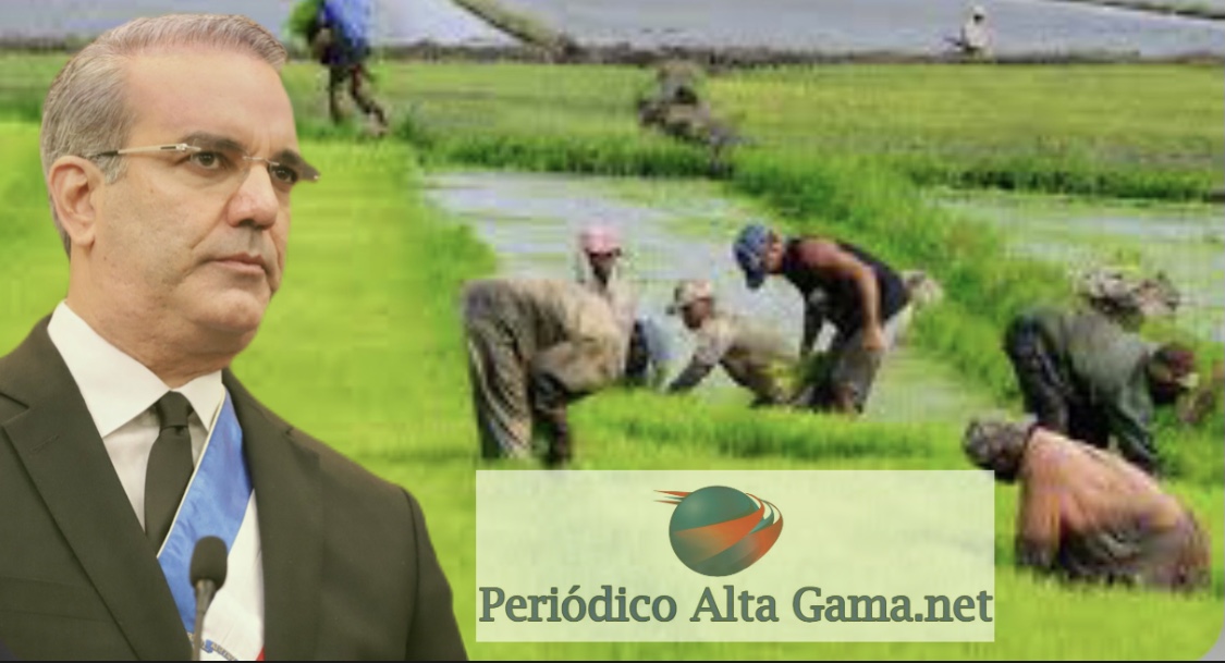 "La defensa del sector arrocero por parte del presidente Luis Abinader"