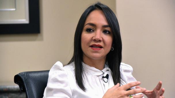 Faride sobre Cámara de Cuentas: "El Congreso debe intervenir como órgano fiscalizador"