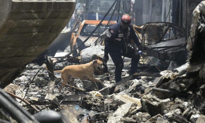 Perros colaboran en zona de rescate para buscar víctimas bajo escombros tragedia San Cristóbal