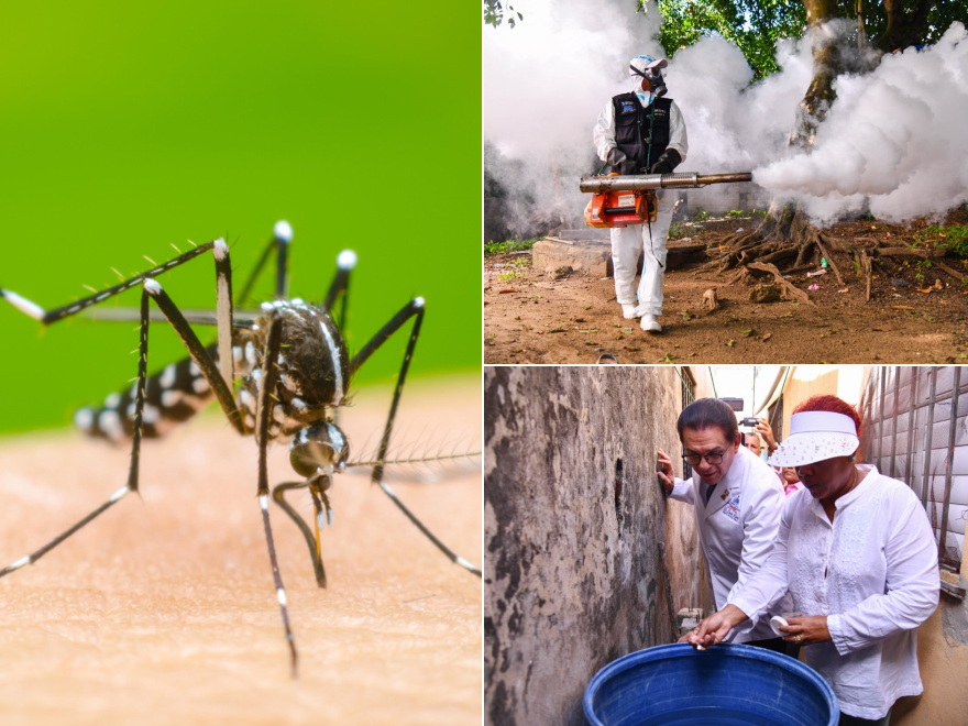 Jornada contra el dengue durante fin de semana impactó a 2.3 millones de personas, según el Gobierno