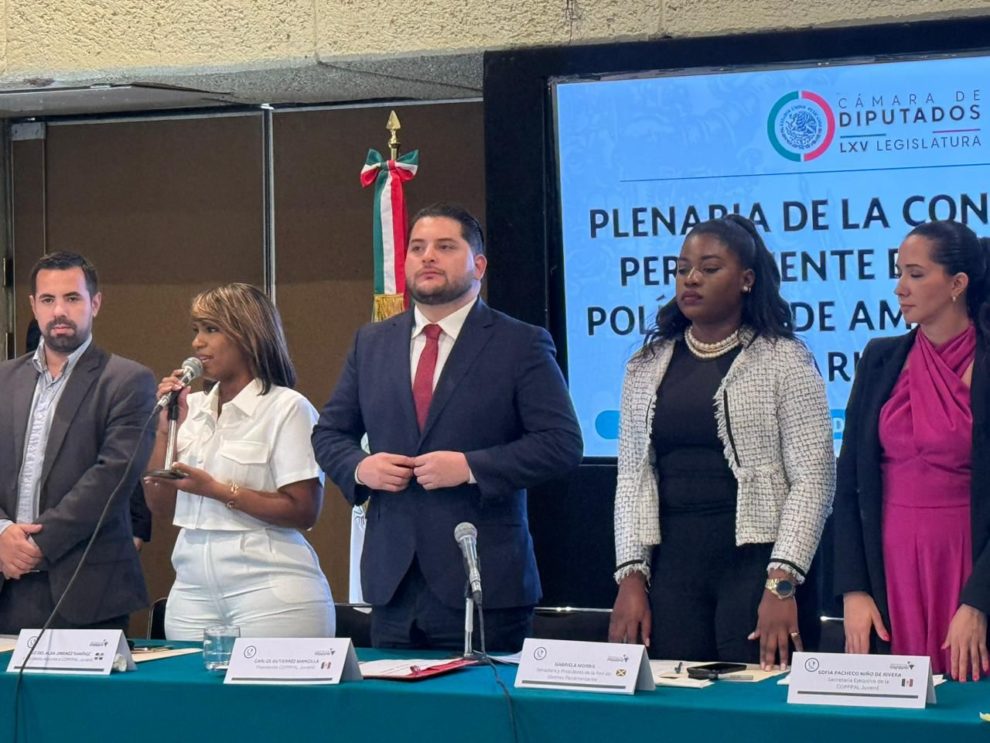 Luz Jiménez viaja a México para ser parte de la misión de observación electoral internacional.