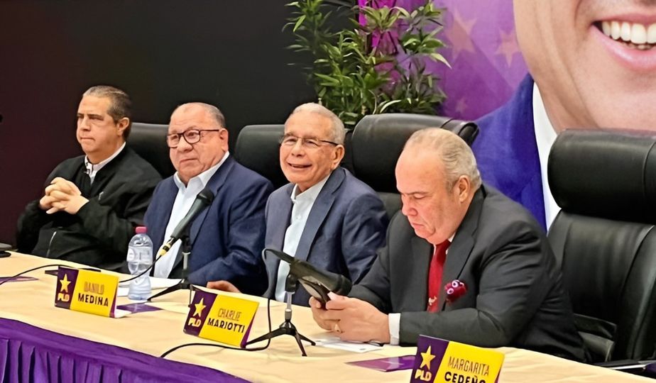 PLD propone referéndum para propuesta de reforma constitucional
