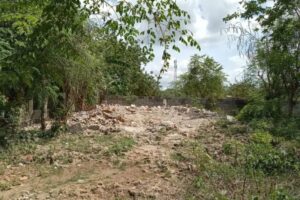 Denuncian invasión de solares en Brisas de las Américas, SDE