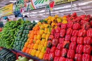 Agricultura anuncia aumento récord de producción de vegetales en invernaderos