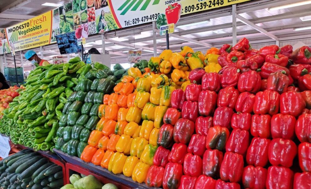 Agricultura anuncia aumento récord de producción de vegetales en invernaderos