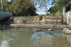 Cosechas amenazadas por el abandono del PRM de las infraestructuras de riego, alerta la FP