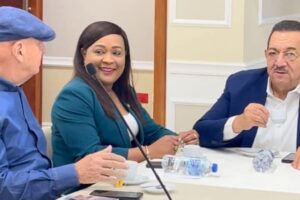 Senadora Aracelis Villanueva participa en la Comisión Bicameral que estudia el proyecto de ley del Código Penal