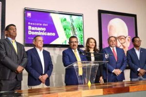 PLD responsabiliza al Gobierno del incendio en el Merca Santo Domingo