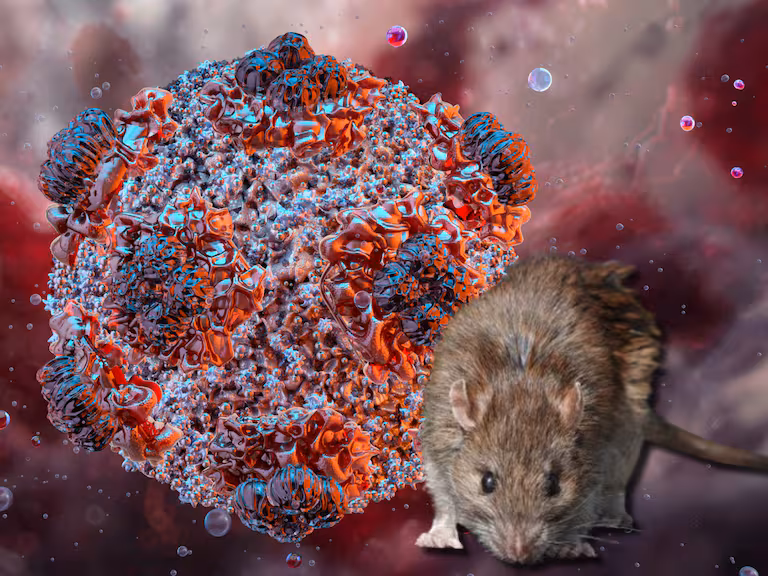 Infectólogo asegura que hantavirus no tiene la capacidad de propagación del COVID-19