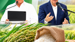 Califican de “demagogia” declaraciones de Danilo sobre el arroz