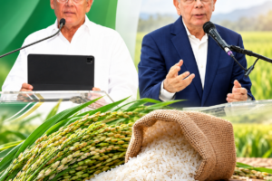 Califican de “demagogia” declaraciones de Danilo sobre el arroz