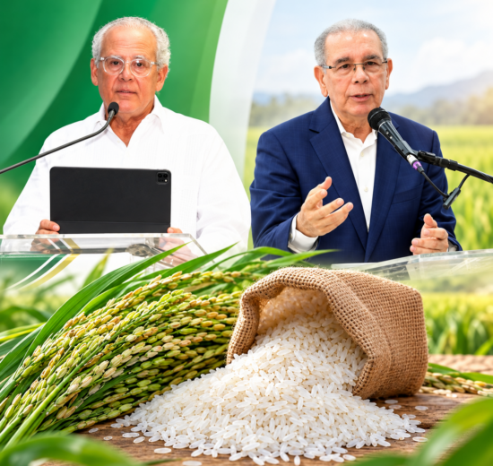 Califican de “demagogia” declaraciones de Danilo sobre el arroz