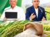 Califican de “demagogia” declaraciones de Danilo sobre el arroz